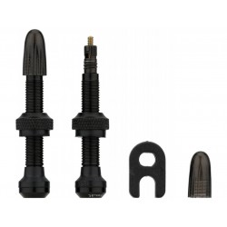 SCHWALBE VALVES TUBELESS 40MM