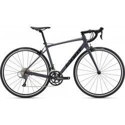 GIANT CONTEND 2 2023