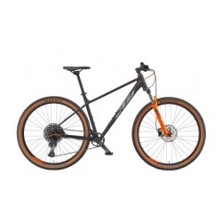 KTM ULTRA FUN 29 2024
